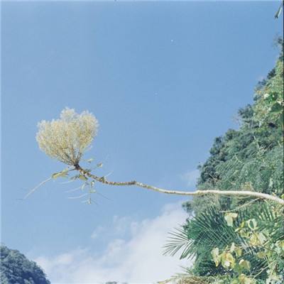 幻想仙侣手机版下载