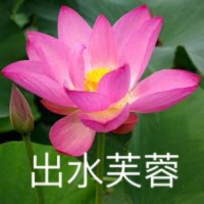 小米枪战破解版无限钻石下载