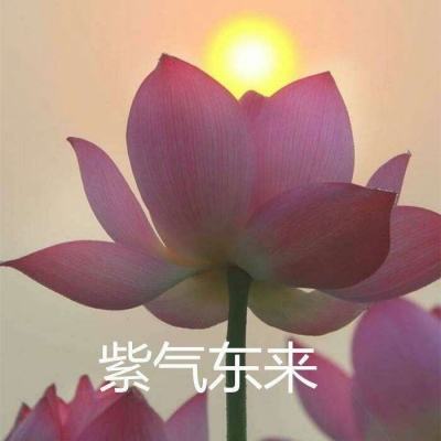 高热手游王者传奇正版下载